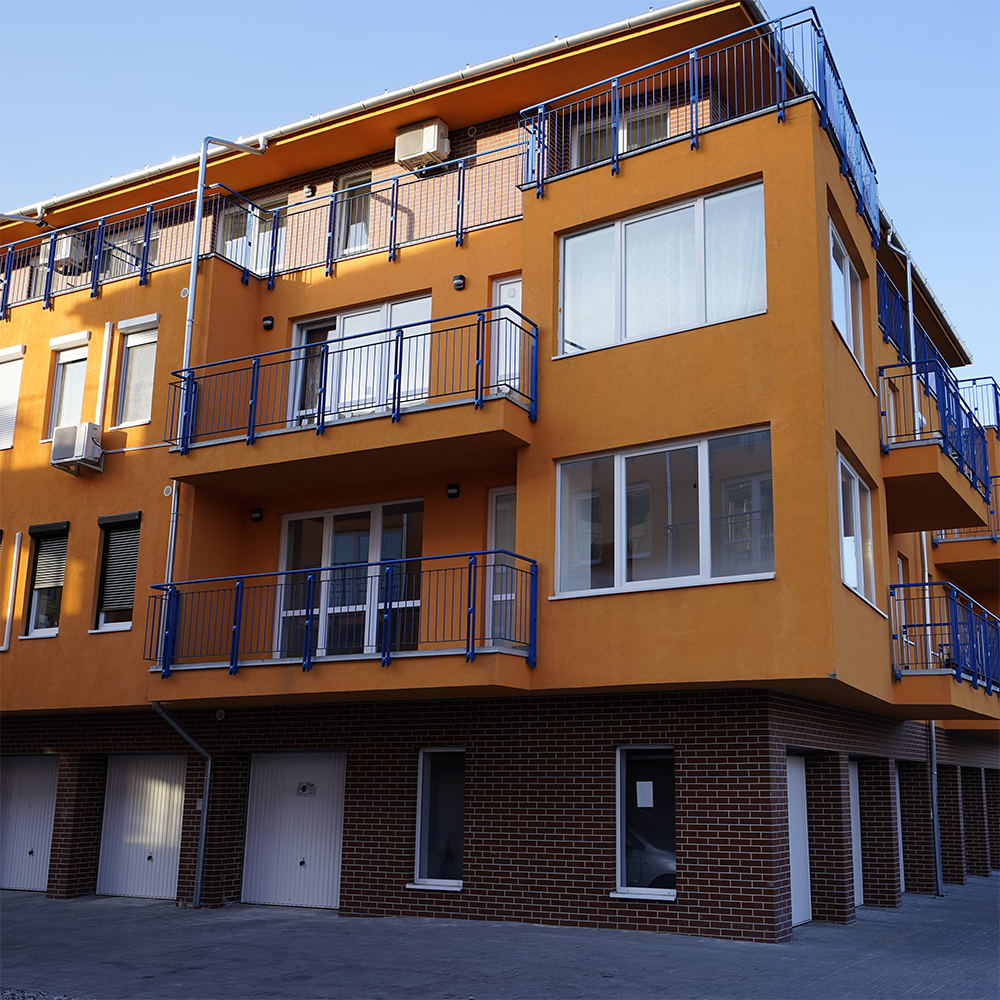 Tulipan1BA-01